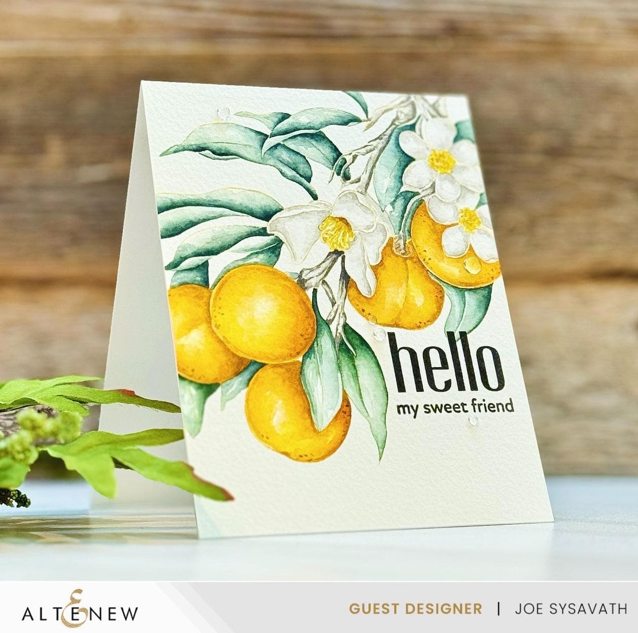 Craft Your Life Project Kit: Tangerine Grove & Artists' Watercolor 24 Pan Set Bundle