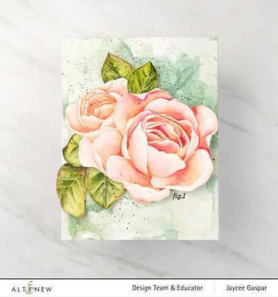 EXP Factors Stencil Ambridge Rose Simple Coloring Stencil Set (4 in 1)