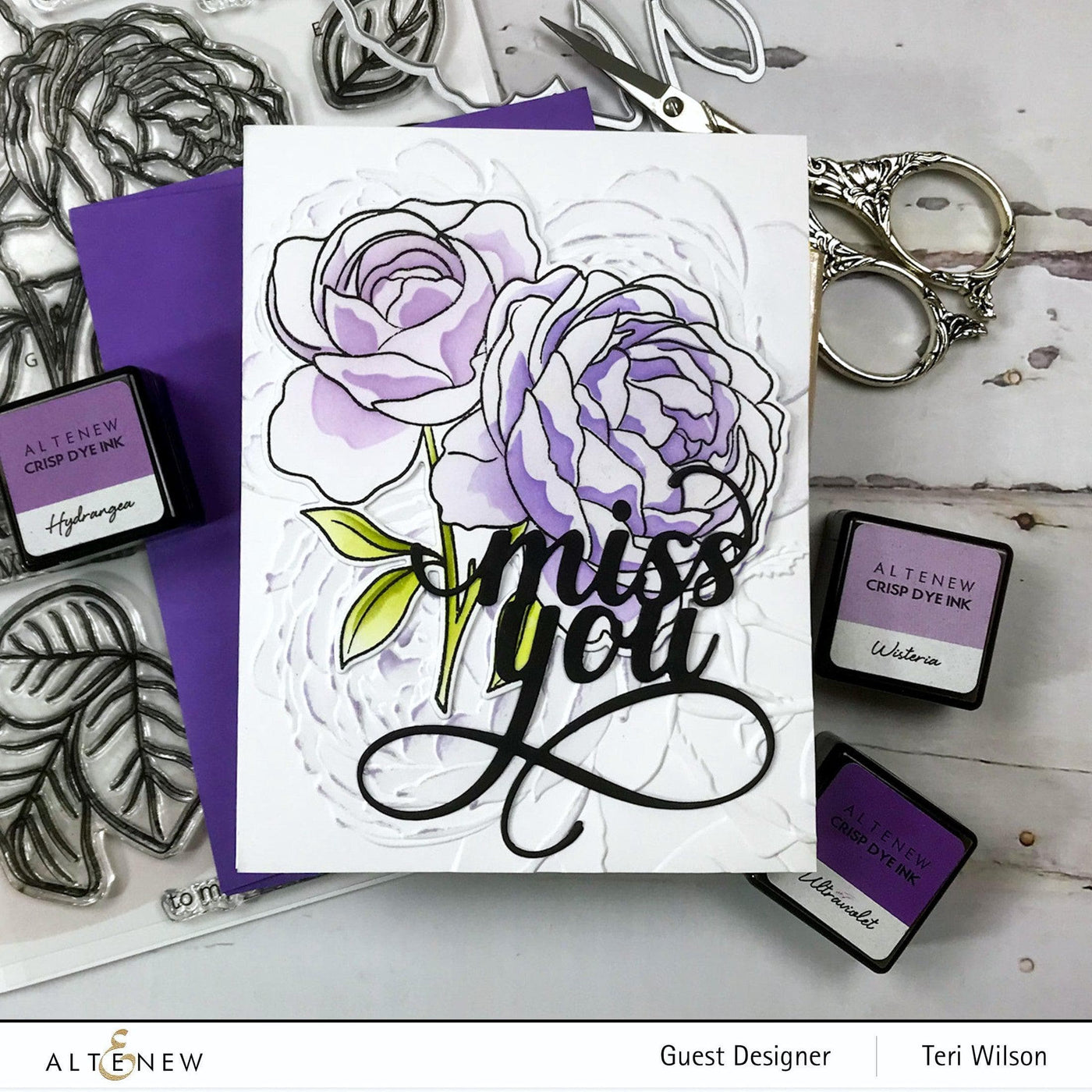 EXP Factors Stencil Ambridge Rose Simple Coloring Stencil Set (4 in 1)